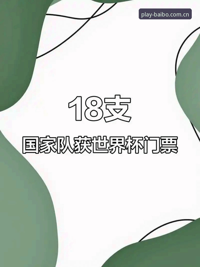 资深用户分享：从世界杯门票到百博体育平台，一场因签证错过的顶级赛事